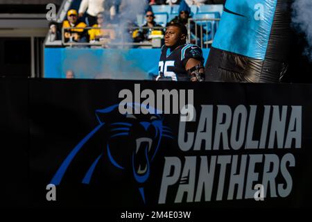 Carolina Panthers defensive tackle Derrick Brown (95) wears a Crucial Catch  t-shirt as he warms up prior to an NFL football game against the  Philadelphia Eagles, Sunday, Oct. 10, 2021, in Charlotte