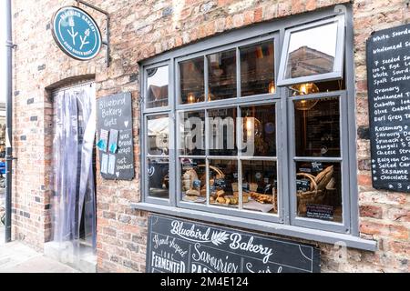 Bluebird bakery shop bakers in Little shambles street,York,Yorkshire,England,UK Stock Photo