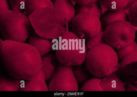 Ripe viva magenta pears and apples, closeup Stock Photo