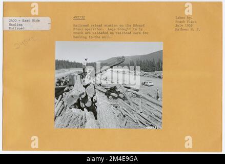 Log Transportation: Logging Railroad. Photographs Relating to National Forests, Resource Management Practices, Personnel, and Cultural and Economic History Stock Photo