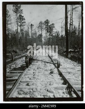 Log Transportation: Logging Railroad. Photographs Relating to National Forests, Resource Management Practices, Personnel, and Cultural and Economic History Stock Photo