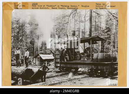 Historical: Logging. Photographs Relating to National Forests, Resource ...