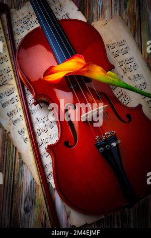 Calla Lily Resting On Violin Still Life Stock Photo