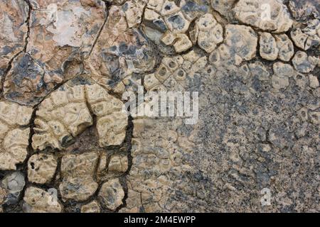 broke and cracked crack wet stone concrete texture close up background Stock Photo