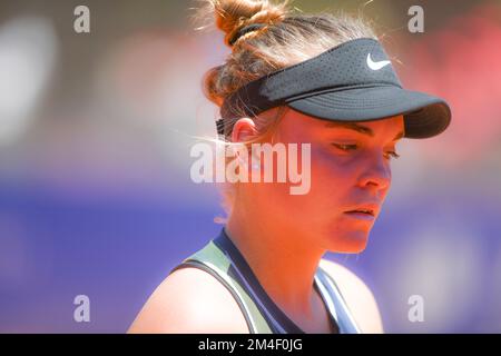 Sara Bejlek (Cezch Republic). Argentina Open WTA 2022 Stock Photo