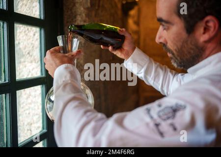 The hands of a professional bartender pour red syrup into a measuring glass  of jigger, next to a metal tool for preparing and stirring alcoholic cockt  Stock Photo - Alamy