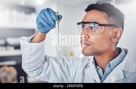 Scientist, test tube analysis and working in laboratory for plants science innovation, agriculture research or ecology pharmacist study. Doctor Stock Photo