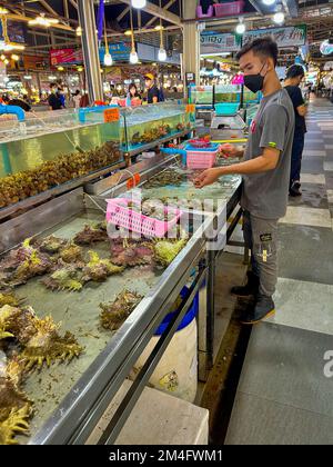 Bangkok, Thailand, Thawi Watthana,  Thonburi Market Place, Food shopping, Young Man, Teen, Working Fish Stand Stock Photo