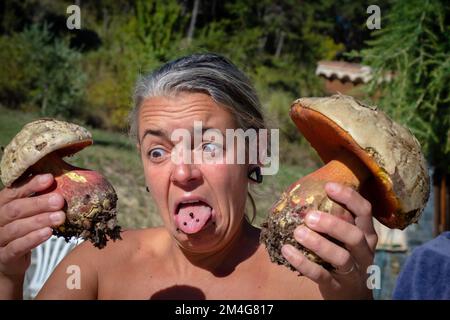 Female mushroom forager with Satins Boletus mushroom - One of the largest and most colorful poisonous mushrooms in the forest Stock Photo