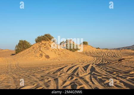 Landscape scenic view of desolate barren western desert in Egypt with bushes on sand dunes and vehicle tracks in sand Stock Photo