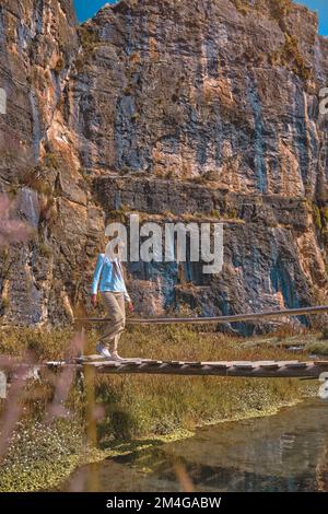 Young woman with backpack and sportswear hiking in mountains during summer season, traveler walking in the forest. Travel Stock Photo