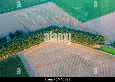 Hedwigepolder, aerial view, Belgium, Antwerp, Hedwigepolder Stock Photo