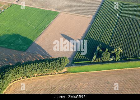 Field scenery at the Hedwigepolder, aerial view, Belgium, Antwerp Stock Photo