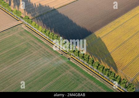 Field scenery at the Hedwigepolder, aerial view, Belgium, Antwerp Stock Photo