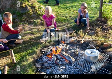 children baking bread over a campfire, Germany Stock Photo