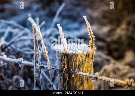 Den Helder, Netherlands. December 2022. Wooden pole with hoarfrost. High quality photo Stock Photo