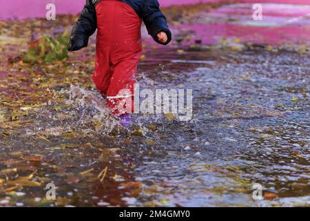child splashing water with boots and water pants in a puddle on a rainy day Stock Photo