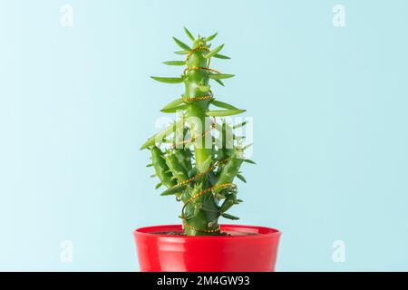 Cactus with Christmas tree decoration. Minimal Christmas or New year concept. Stock Photo