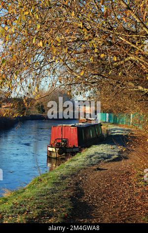 The last of the leaves are hanging onto the trees and are highlighted winter sun near a narrow boat that has been surrounded by the frozen water. Stock Photo