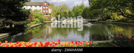 The gardens at Springfields outlet shopping centre; Spalding town; Lincolnshire; England; UK Stock Photo