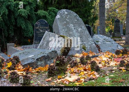 Fallen old tombstones or headstones or gravestones in Hietaniemen hautausmaa or Hietaniemi cemetery in Helsinki, Finland Stock Photo