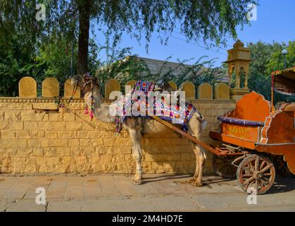 Jaisalmer, India - Nov 10, 2017. Camel waiting for tourist on street. Jaisalmer is a former medieval trading center in the western Indian state of Raj Stock Photo