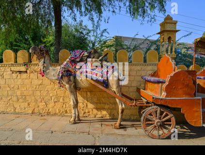 Jaisalmer, India - Nov 10, 2017. Camel waiting for tourist on street. Jaisalmer is a former medieval trading center in the western Indian state of Raj Stock Photo
