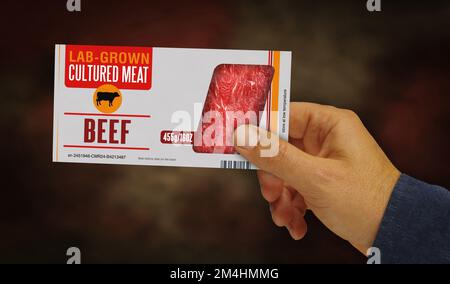 Cultured meat lab-grown box in hand. Synthetic beef from biotech science pack factory. Abstract concept 3d rendering illustration. Stock Photo