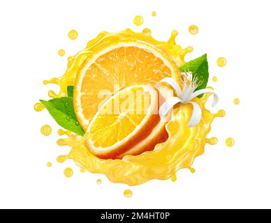 Fresh ripe orange, orange slices and juice or smoothie splash spiral. Tasty juice splashing, orange juice isolated.Healthy drink tropical fruit label Stock Photo