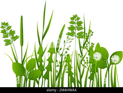 Natural plants growing. Realistic green grass weeds Stock Vector