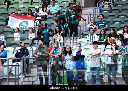 SP - Sao Paulo - 12/21/2022 - FINAL PAULISTA FEMALE 2022, PALMEIRAS X  SANTOS - Santos players lament the defeat at the end of the match against  Palmeiras at the Arena Allianz