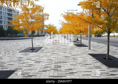 Creative structure with paving stones on sidewalk, Montreal, Province of Quebec, Canada Stock Photo