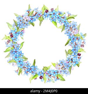 Forget-me-not flowers wreath, isolated on white watercolor illustration Stock Photo