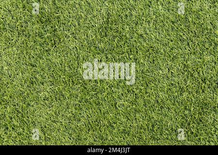 Artificial grass texture, close up Stock Photo