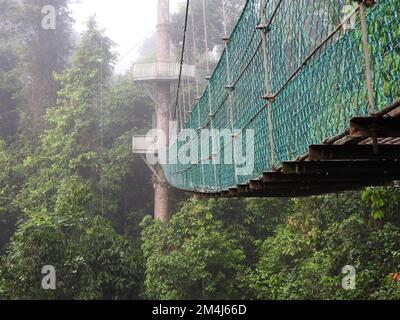 Tree top canopy walkway in Danum Valley rainforest Lahad Datu Sabah Borneo Stock Photo