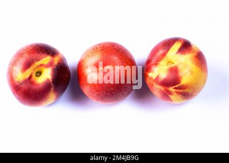 Nectarines, variety of peach,Prunus persica, is a deciduous tree. It bears edible juicy fruits with various characteristics, most called peaches and o Stock Photo