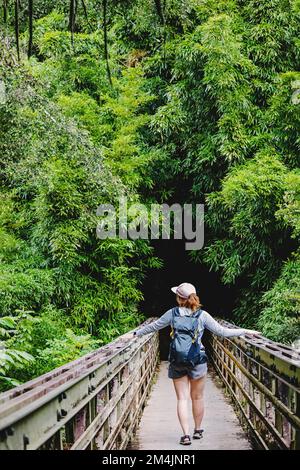 Woman with a backpack standing on the bridge, entering the bamboo forest, view from the back Stock Photo