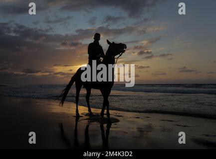 Gaza, Palestine. 21st Dec, 2022. Palestinian man rides his horse along the beach at sunset in Gaza City. (Photo by Mahmoud Issa/SOPA Images/Sipa USA) Credit: Sipa USA/Alamy Live News Stock Photo