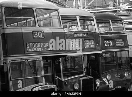 Manchester historic buses in Queens Road depot, Stockport 30, Chorlton 85, University 213, 1951 Crossley Dominion Trolley Bus JVU755 Stock Photo
