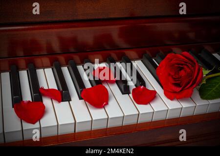 Pinano hi-res stock photography and images - Alamy Pinano hi-res stock photography and images - Alamy
