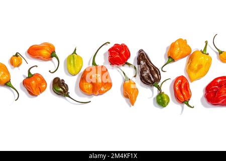 Assortment of colored peppers isolated on white background. Different varieties, trendy hard light, dark shadow, mockup, template, flat lay, top view Stock Photo