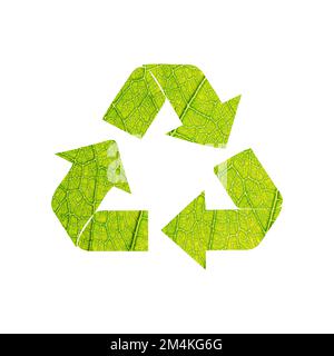 Recycle symbol with green leaf vein background. Stock Vector