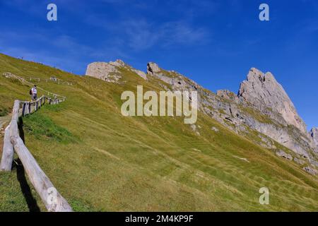 Walker on path at Geislerspitzen massif on Seceda with grass and view to Odle mountains, Val (Valley) Gardena, Dolomites, South Tyrol, Italy Stock Photo