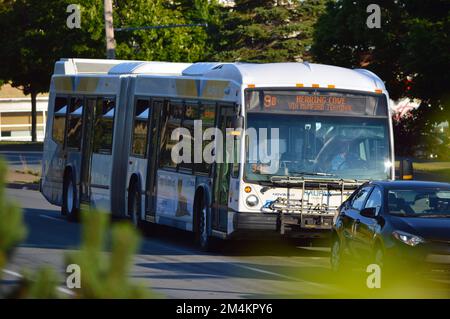 Halifax Transit route 9A articulated Novabus bus on Mumford Road in Halifax, Nova Scotia, Canada Stock Photo