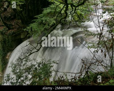 Long exposure of a waterfall in a forest Stock Photo