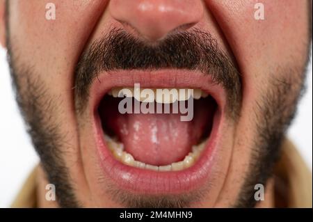 close up photo of man opening his mouth wide, having thick beard, isolated over white background in studio Stock Photo