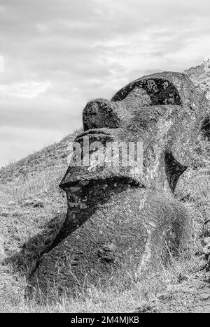 Lying Moai sculpture at Rano Raraku on Easter Island, Chile Stock Photo