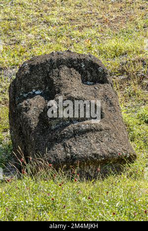 Head of a destroyed Moai sculpture on Easter Island, Rapa Nui, Chile Stock Photo