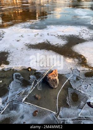 Sheets of broken ice lie on the surface of a boating lake duck pond. Broken ice, icy water, drowning hazard, ice on pond, sheets of ice, frozen water. Stock Photo