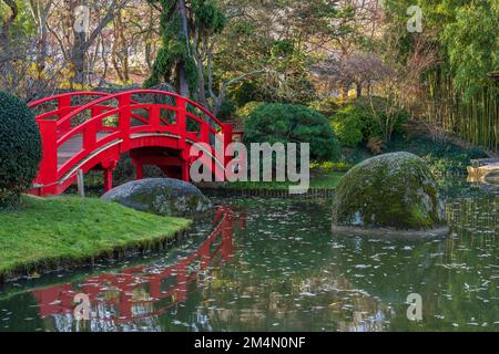 View in the Pierre Baudis japanese garden with traditional red wooden bridge over pond with round boulders in Compans-Caffarelli public park, Toulouse Stock Photo